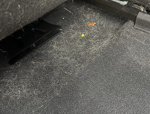Pet Hair On Car Interior